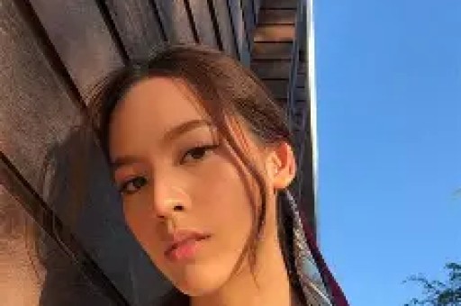 全部导航